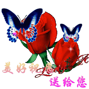 九月九日重阳到 我的祝福提前到 重阳节 最真诚的祝福 第一个送给你