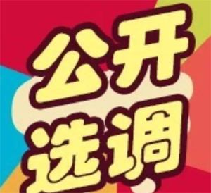 赞皇县文化教育局 2018年公开选调教师实施方