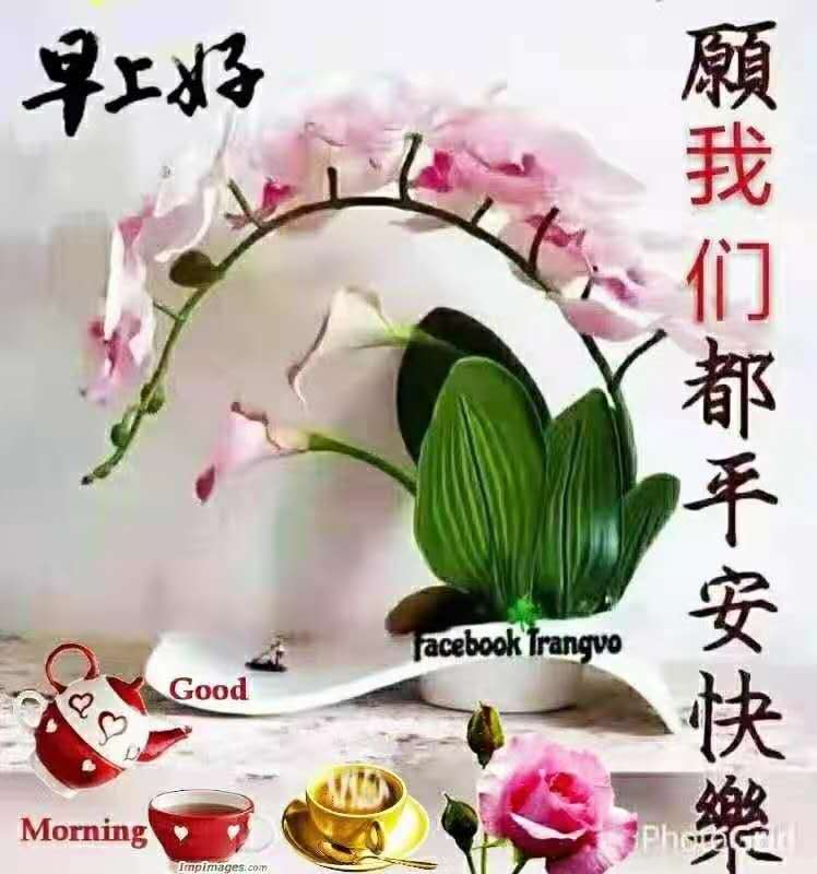 家人们,大家早上好!