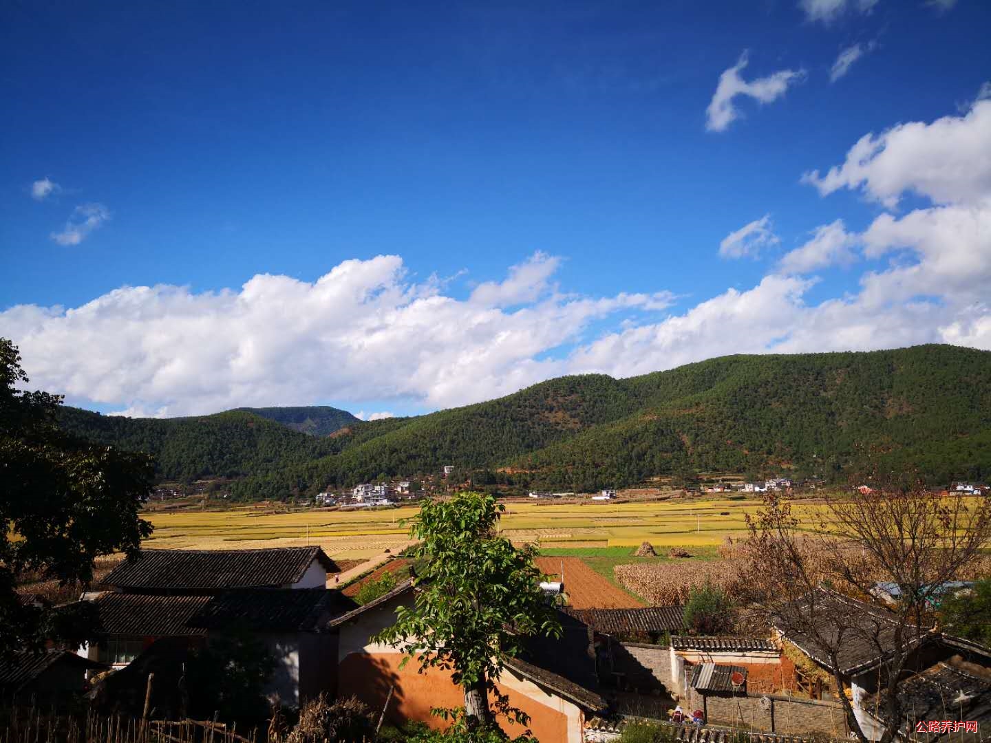 遇见顺州的秋 (丽江公路局 再兴)