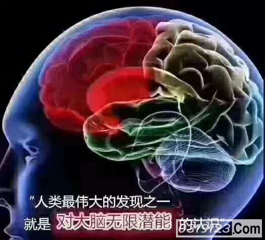 聪明人会投资大脑,让大脑知识丰富!