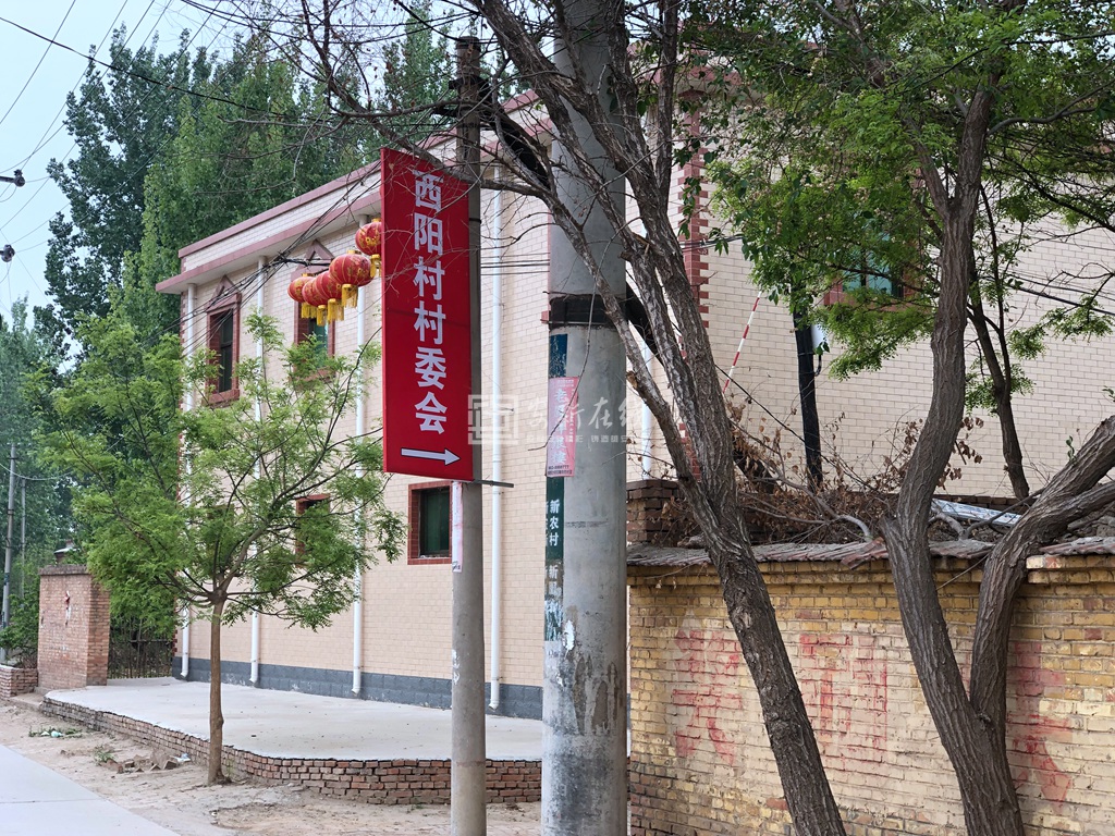 大王镇西阳村——表明平静的村庄实则不平静