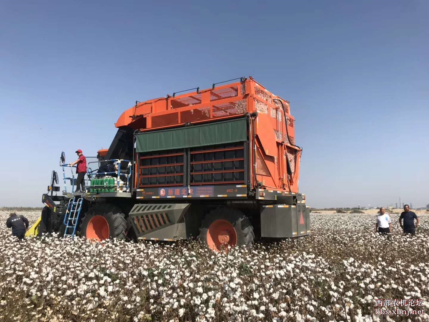 铁建重工采棉机采棉忙!