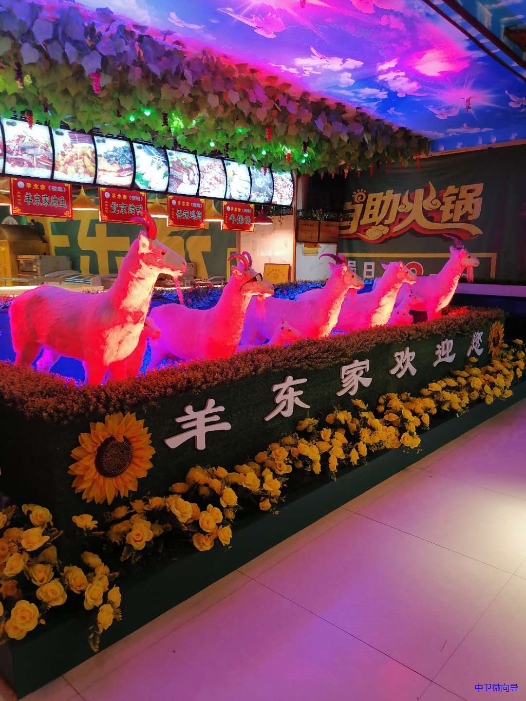 中卫市羊东家自助火锅美食城,招聘